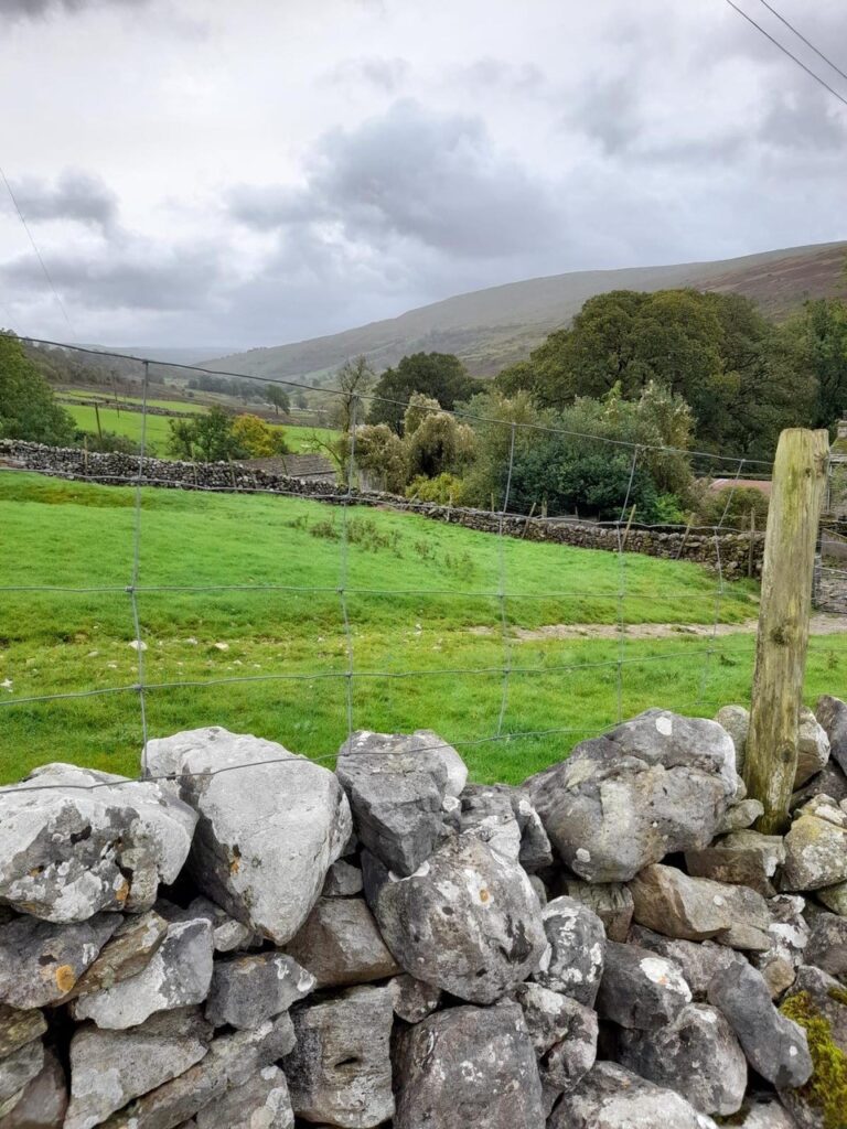 Rural setting of East and West Deepdale Farm in Kettlewell, North Yorkshire. Dry Stone wall and hilltop views.